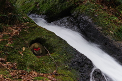 山中温泉ぶらぶら あやとり橋