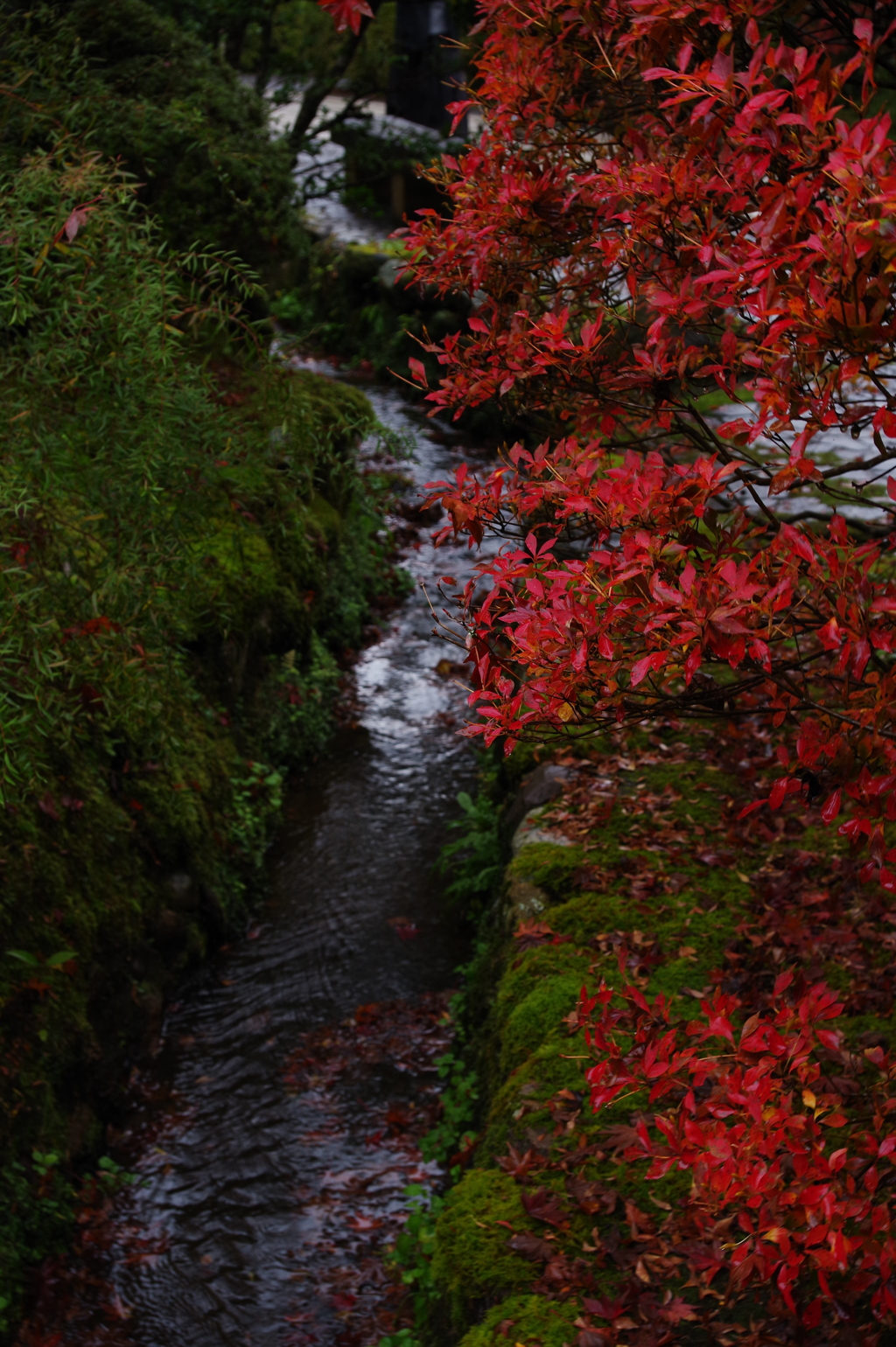 那谷寺 紅葉 (83)