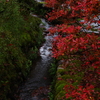 那谷寺 紅葉 (83)