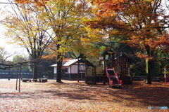 生田緑地 紅葉 31mm (15)