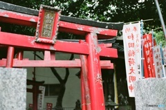 神社の鳥居　(フィルム)