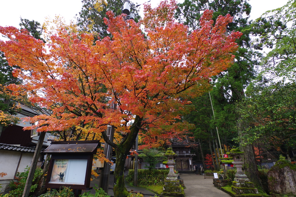 那谷寺 紅葉 (1)