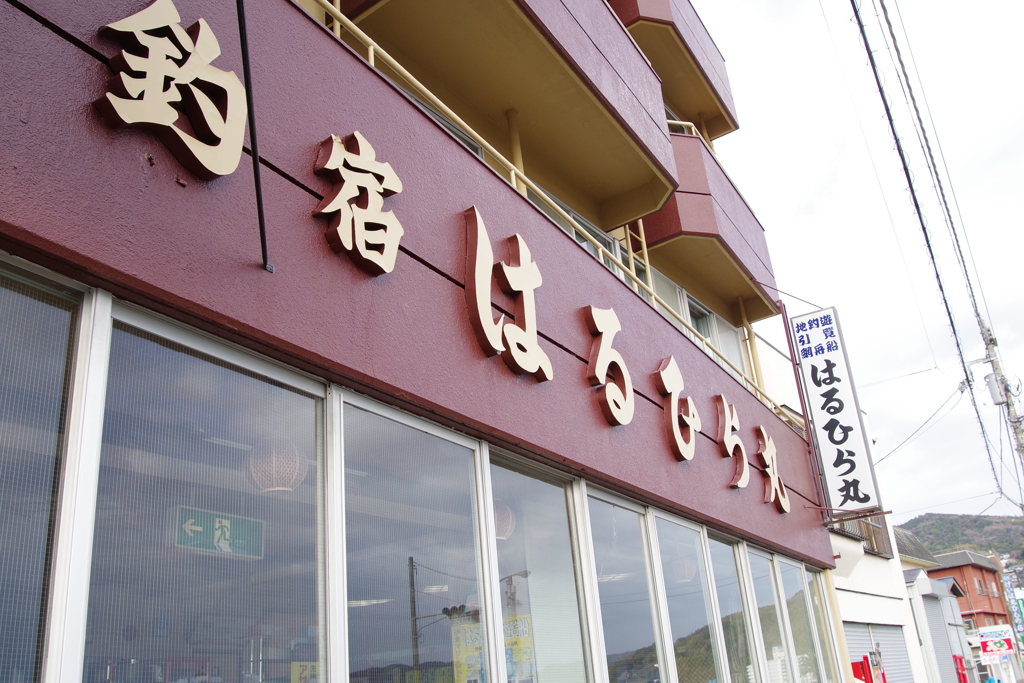 伊東湾で初めての釣り はるひら丸　おすすめです