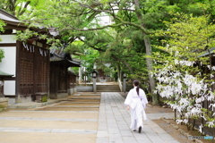 船橋大明神 (1)