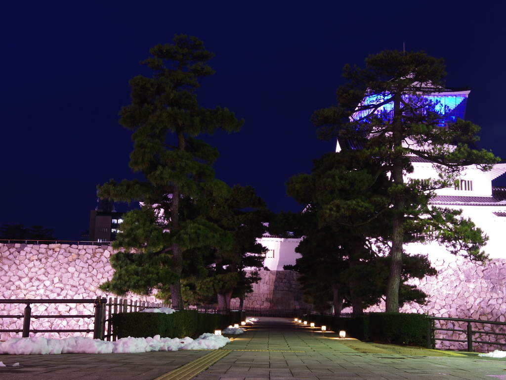 TOYAMA 夜のお城！