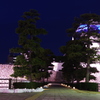 TOYAMA 夜のお城！