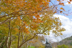 Kamakura散歩 源氏山公園 紅葉