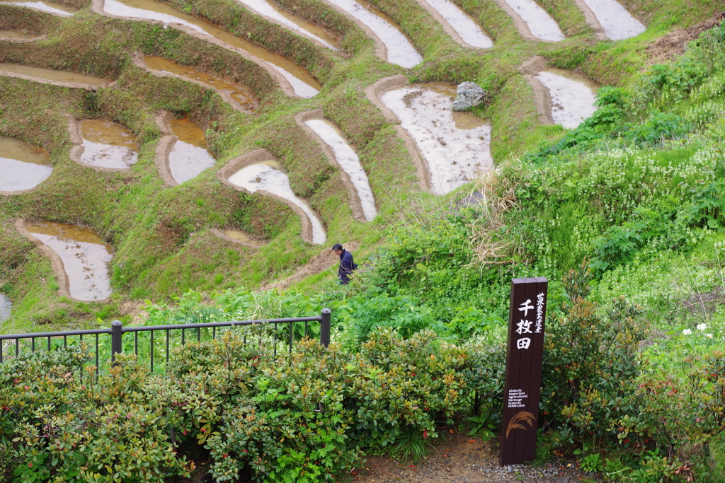 能登半島ドライブ 千枚田