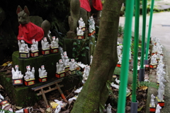 Kamakura散歩 佐助稲荷神社 狐様がいたるところにいらっしゃいます