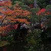 那谷寺 紅葉 (82)
