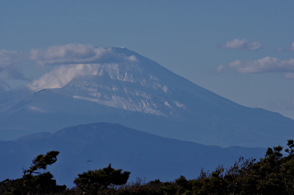 城ヶ島から富士山 