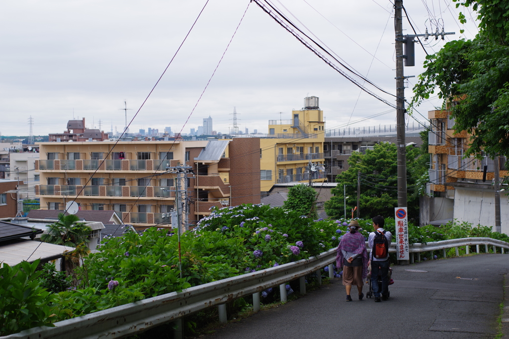 妙楽寺 帰宅