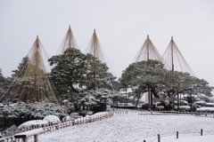 雪の兼六園 (18)