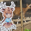 東武動物公園　フレンズと動物