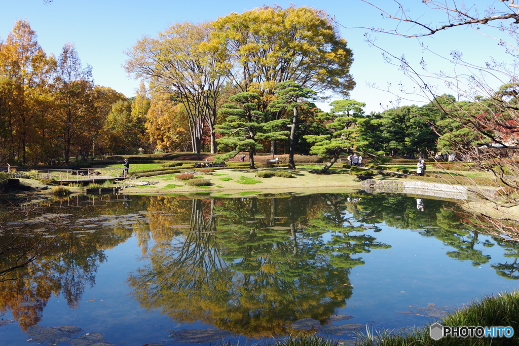 皇居 紅葉2015年 (4)