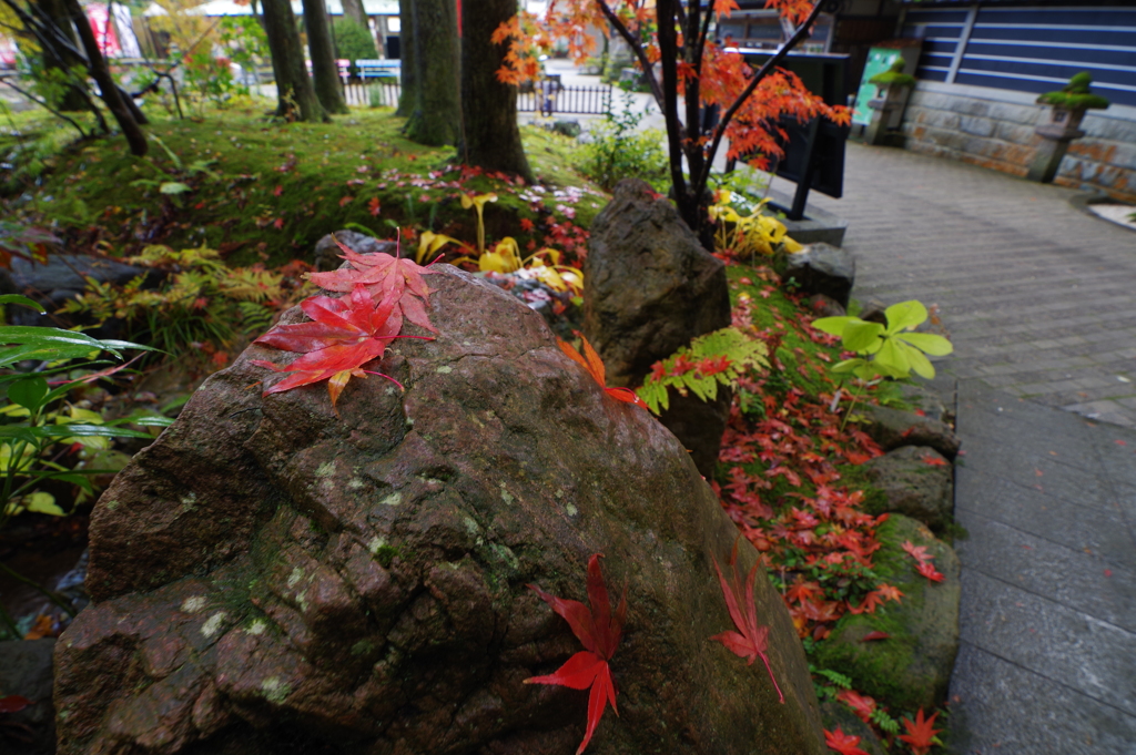 那谷寺 紅葉 (7)