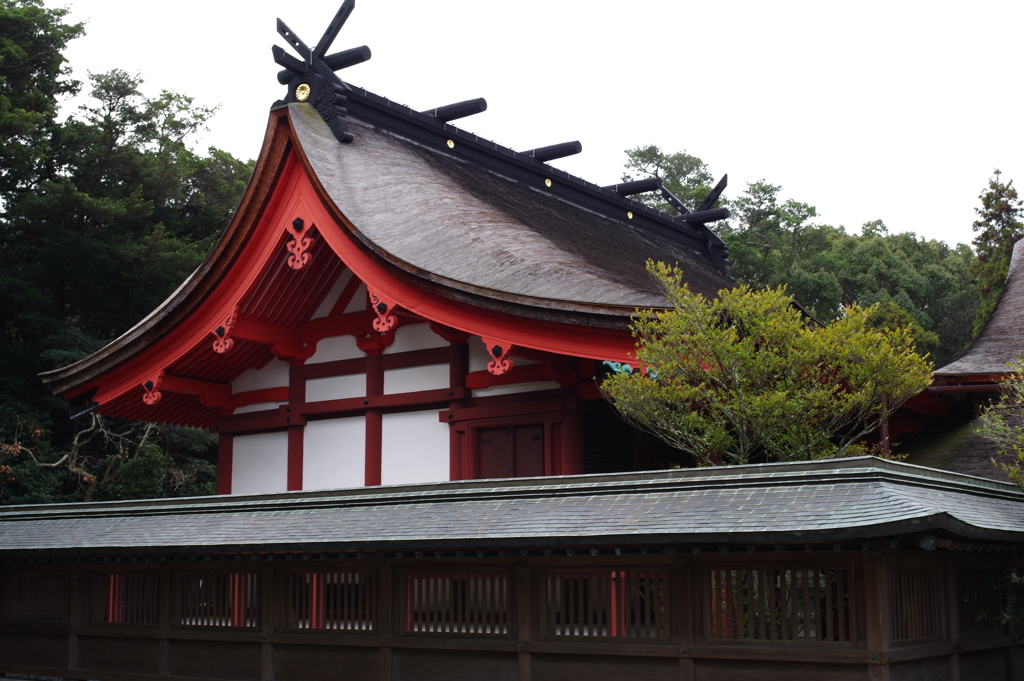 20190101 宗像神社 初詣