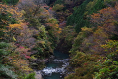 奥多摩むかしみち 綺麗な川と紅葉