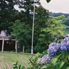 フィルムカメラで金沢ぶらぶら 紫陽花と鳥居