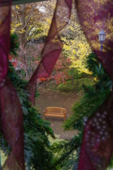 紅葉とクリスマスに挟まれたベンチ