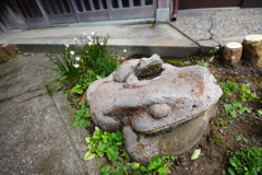 西茶屋街周辺 香林寺 かえる