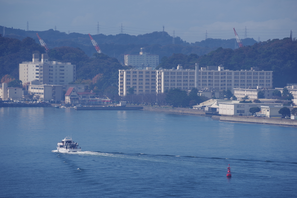猿島 海