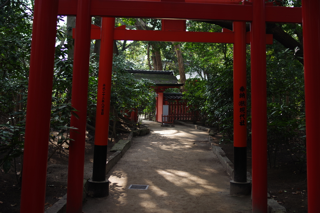 住吉神社 初詣 (17)