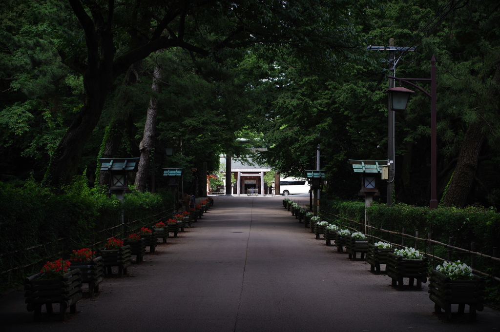 高岡ぶらぶら 7