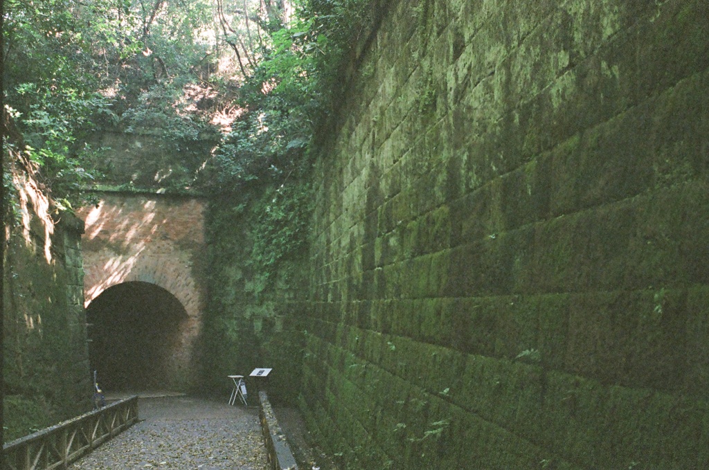 フィルム 猿島 デジタルとは違った味があります