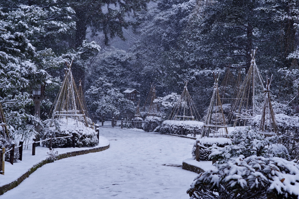 雪の兼六園 別の道もきれい