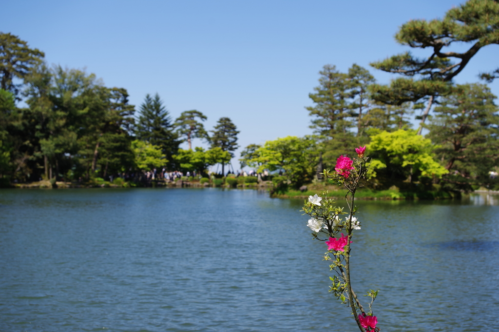 金沢 町ブラ　兼六園