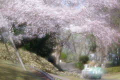 試し撮り pentax smc 85mm f2.2 soft focus