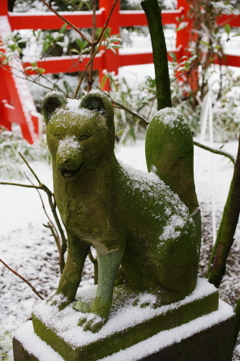 雪の兼六園 狐様