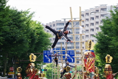加賀鳶はしご登り ご一行　重力に逆らってます