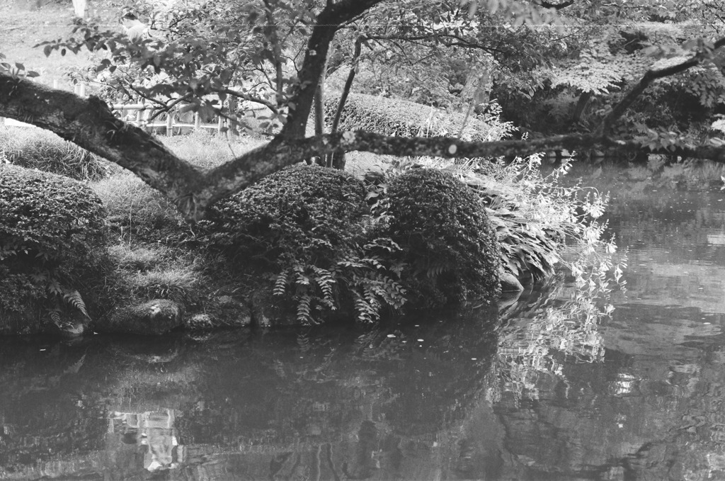 白黒フィルムで散歩 兼六園
