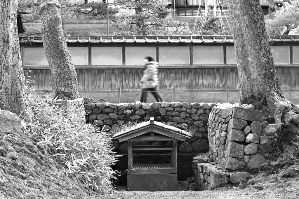 YASHICAでお散歩 白黒で撮ってみた