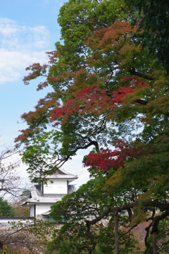 金沢 紅葉 オールドレンズ散歩 (37)