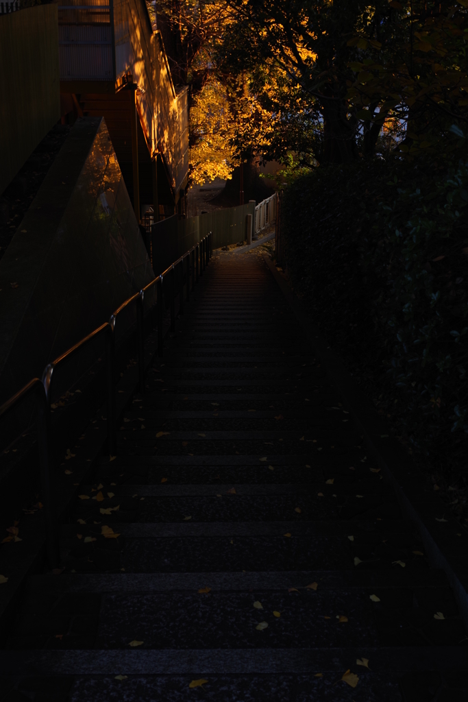 家から2分のなかなかいい紅葉