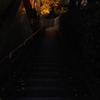 家から2分のなかなかいい紅葉