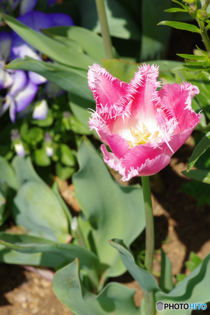 里山ガーデン (15)