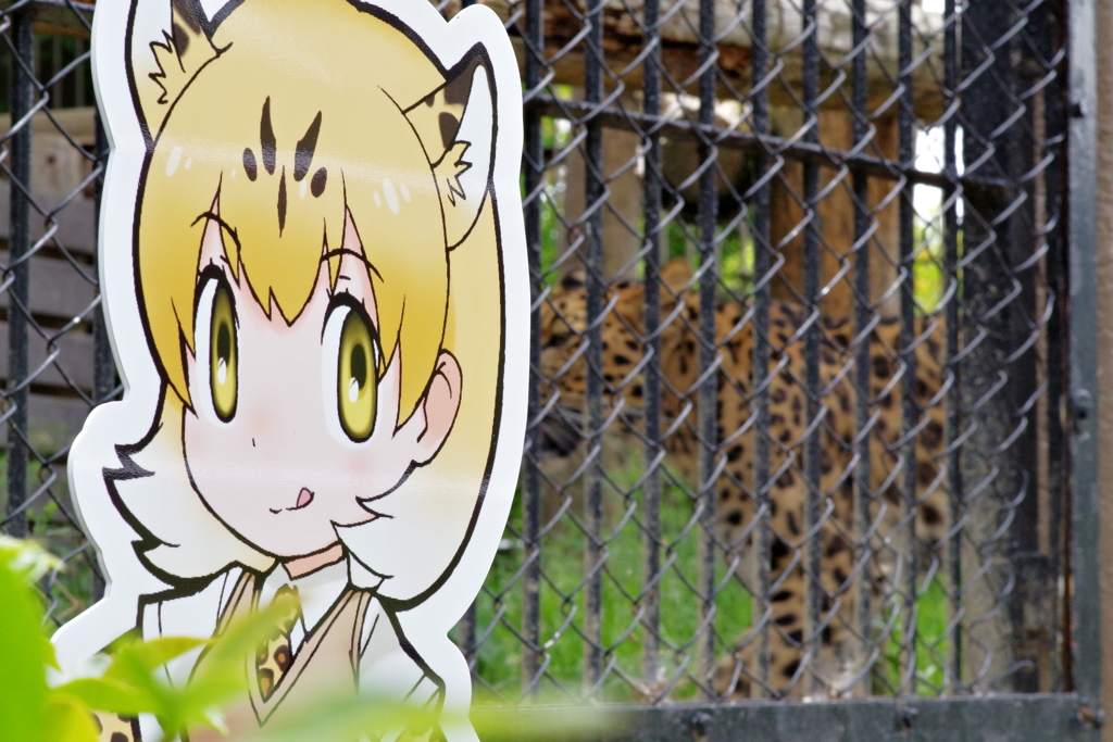 東武動物公園　フレンズと動物