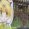 東武動物公園　フレンズと動物