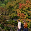 姫路城周辺観光 好古園
