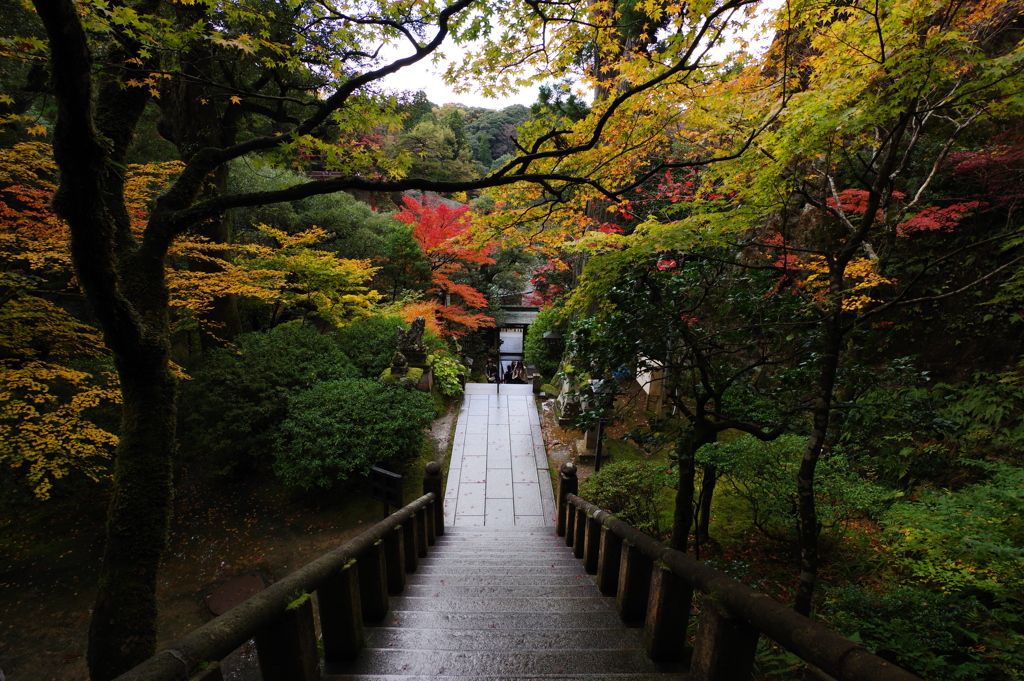 那谷寺 紅葉 (71)