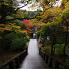 那谷寺 紅葉 (71)