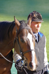 東京競馬場 きりっとしている