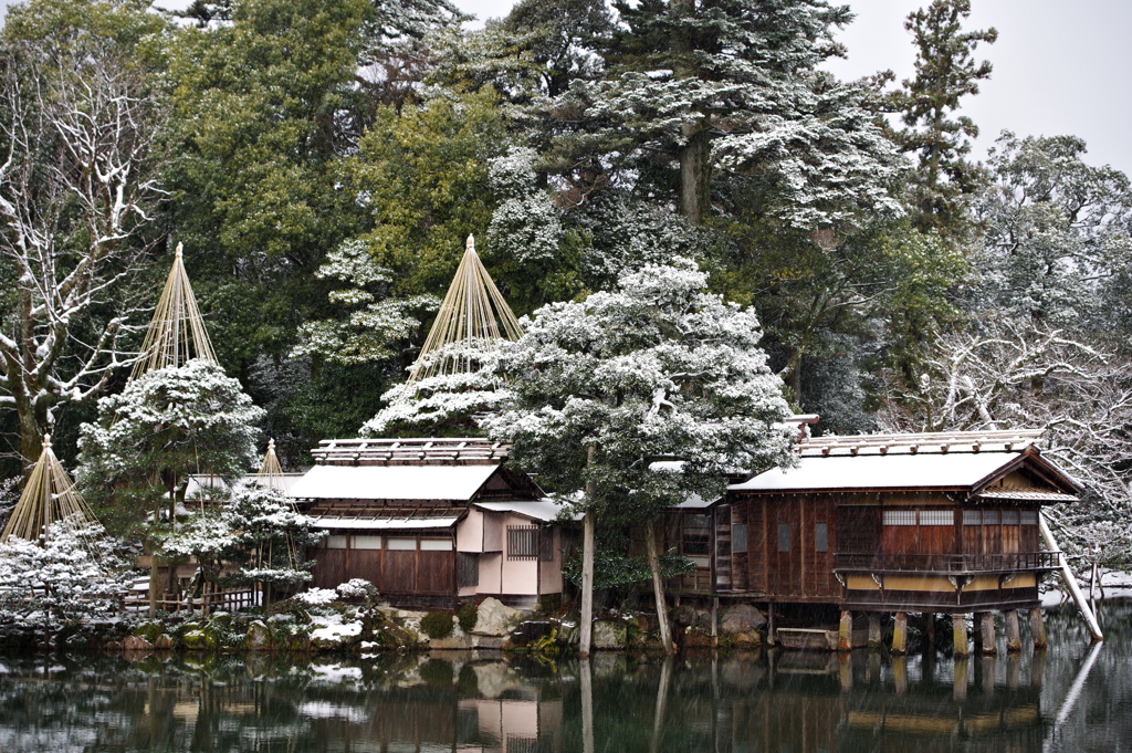 雪の兼六園 雪で綺麗