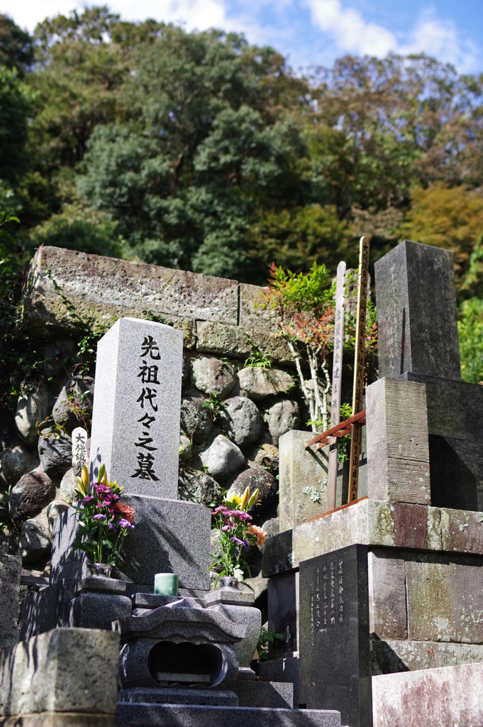 Kamakura散歩 寿福寺 日当たりのいいお墓
