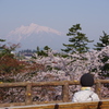 弘前さくら祭り 岩木山をゆっくり眺める