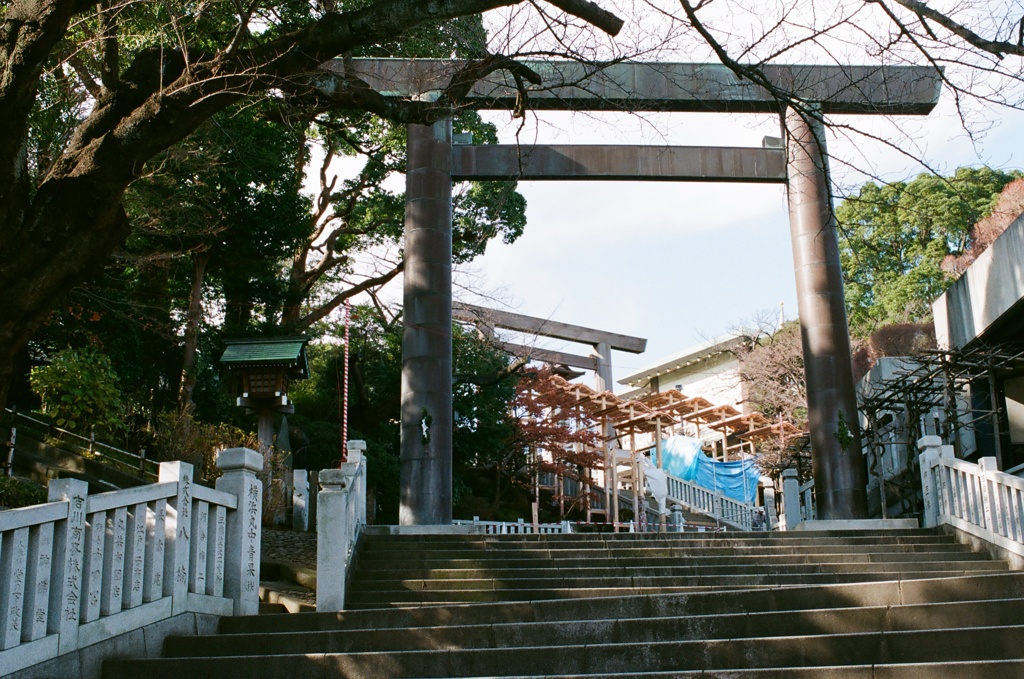 伊勢山皇大神宮(フィルム)